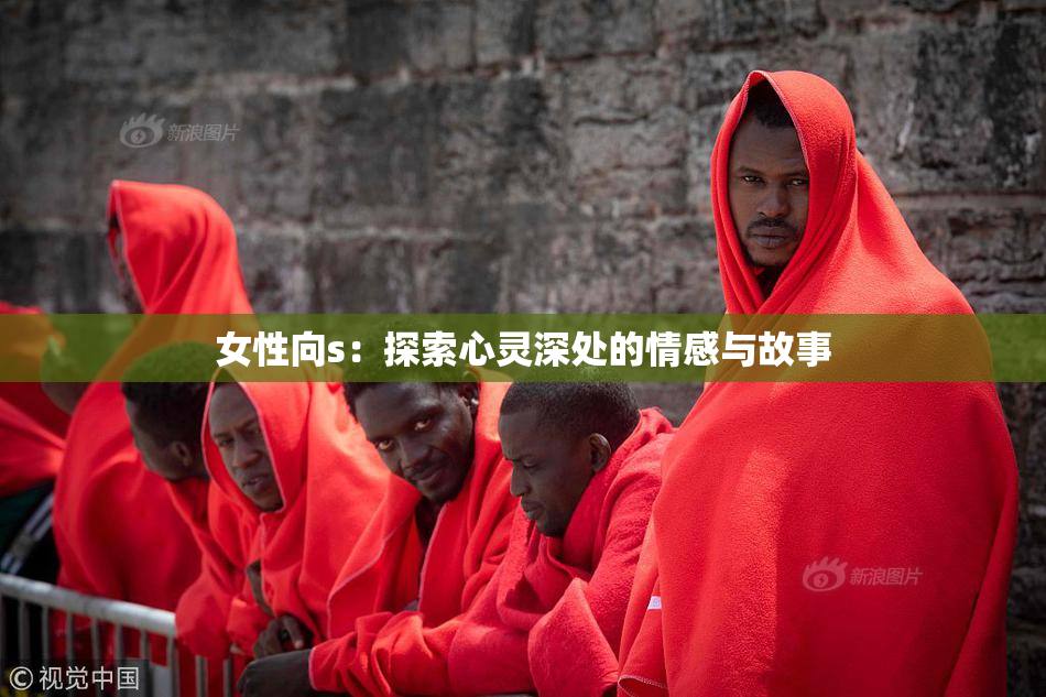 女性向s：探索心灵深处的情感与故事