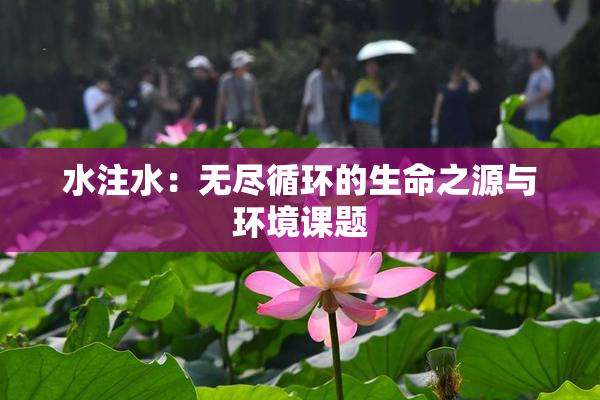 水注水：无尽循环的生命之源与环境课题