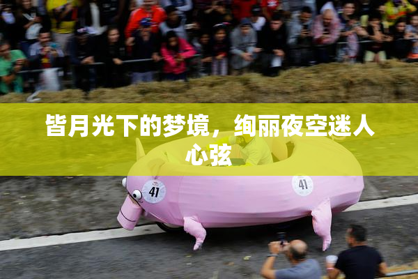 皆月光下的梦境，绚丽夜空迷人心弦
