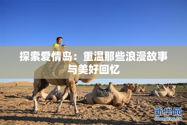 探索爱情岛：重温那些浪漫故事与美好回忆