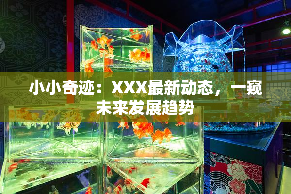 小小奇迹：XXX最新动态，一窥未来发展趋势