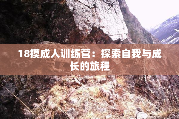 18摸成人训练营：探索自我与成长的旅程