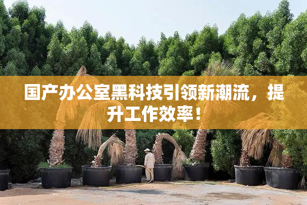 国产办公室黑科技引领新潮流，提升工作效率！