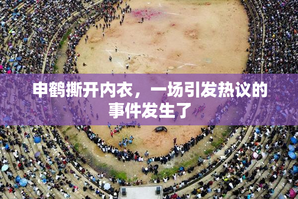 申鹤撕开内衣，一场引发热议的事件发生了
