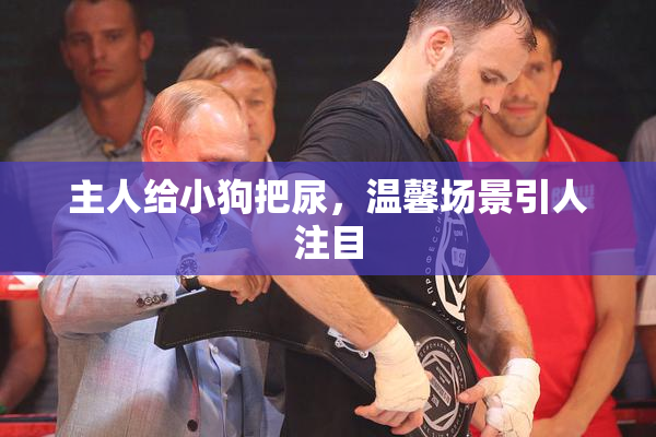 主人给小狗把尿，温馨场景引人注目