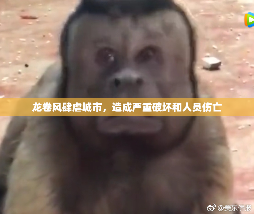 龙卷风肆虐城市，造成严重破坏和人员伤亡