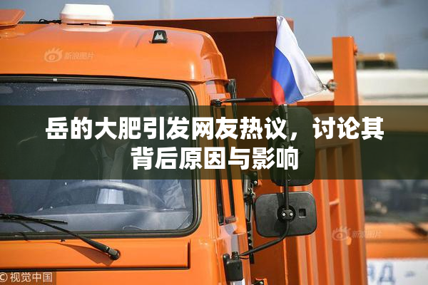 岳的大肥引发网友热议，讨论其背后原因与影响