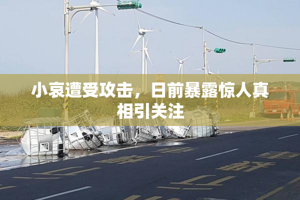 小哀遭受攻击，日前暴露惊人真相引关注