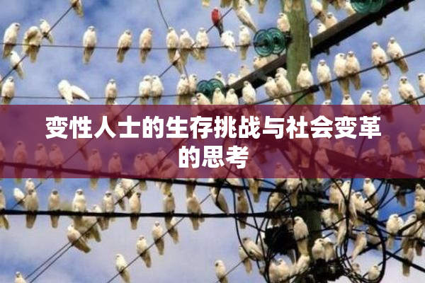 变性人士的生存挑战与社会变革的思考
