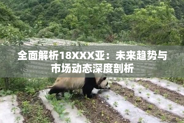 全面解析18XXX亚：未来趋势与市场动态深度剖析