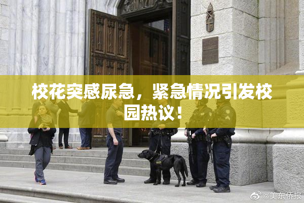 校花突感尿急，紧急情况引发校园热议！