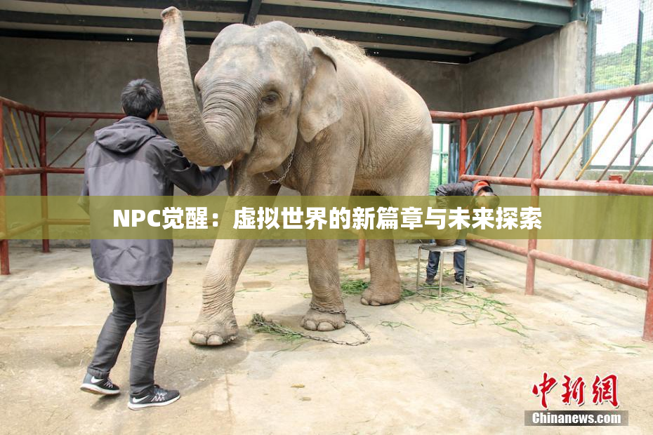 NPC觉醒：虚拟世界的新篇章与未来探索