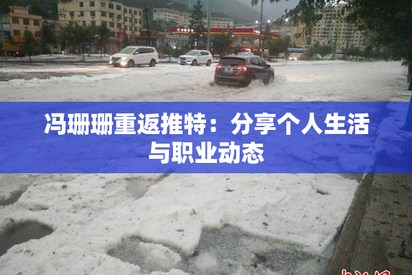 冯珊珊重返推特：分享个人生活与职业动态