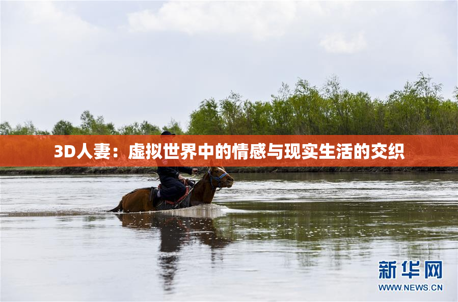 3D人妻：虚拟世界中的情感与现实生活的交织