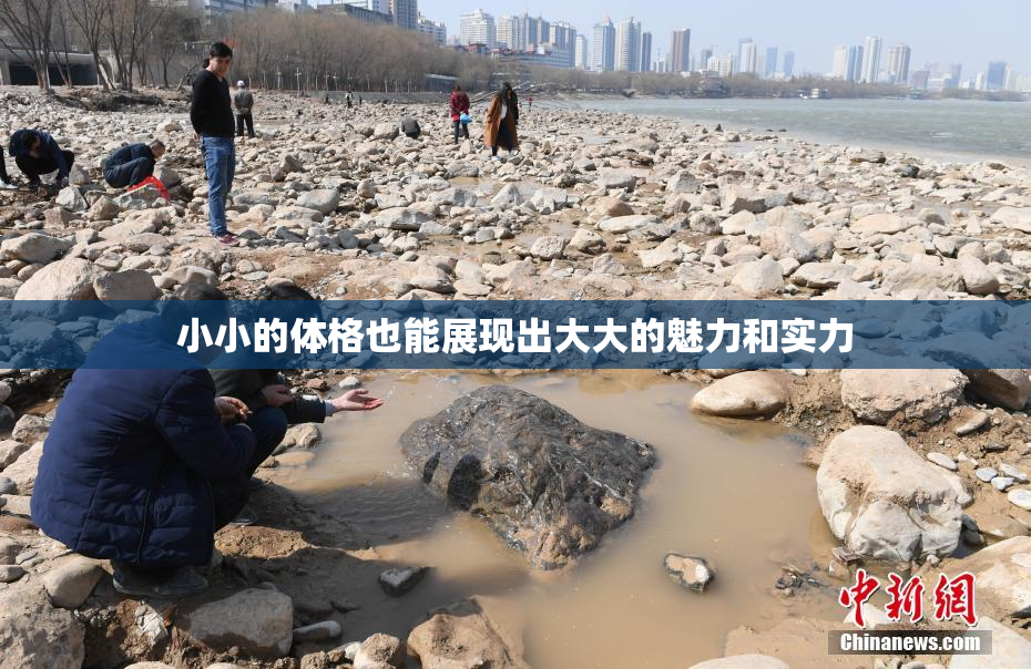 小小的体格也能展现出大大的魅力和实力