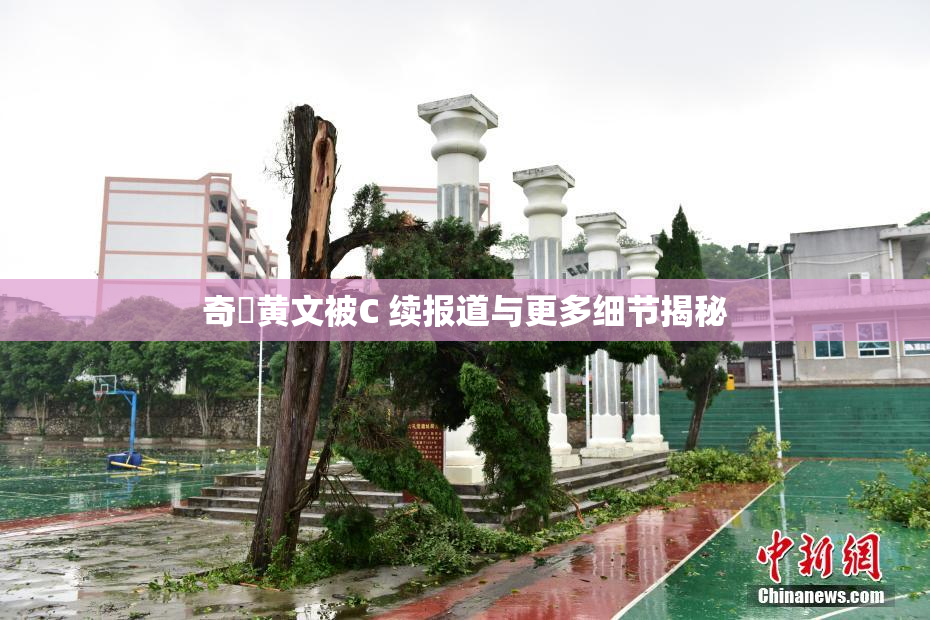奇犽黄文被C 续报道与更多细节揭秘