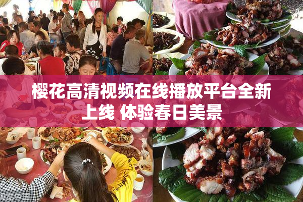 樱花高清视频在线播放平台全新上线 体验春日美景