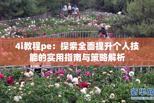 4i教程pe：探索全面提升个人技能的实用指南与策略解析