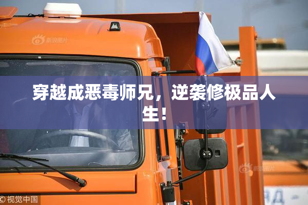 穿越成恶毒师兄，逆袭修极品人生！