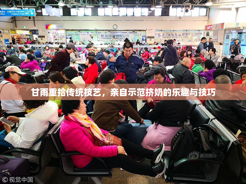 甘雨重拾传统技艺，亲自示范挤奶的乐趣与技巧