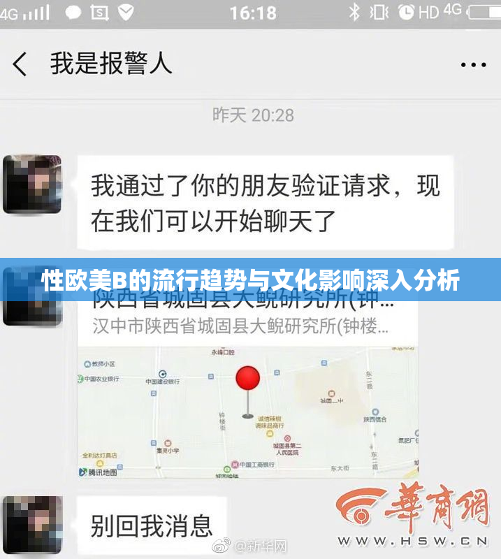 性欧美B的流行趋势与文化影响深入分析