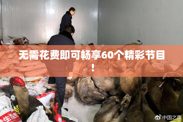 无需花费即可畅享60个精彩节目！