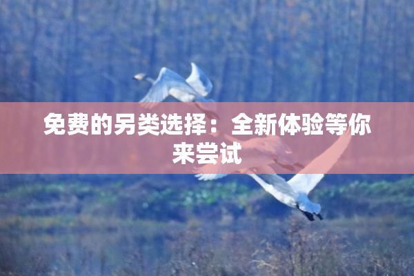 免费的另类选择：全新体验等你来尝试