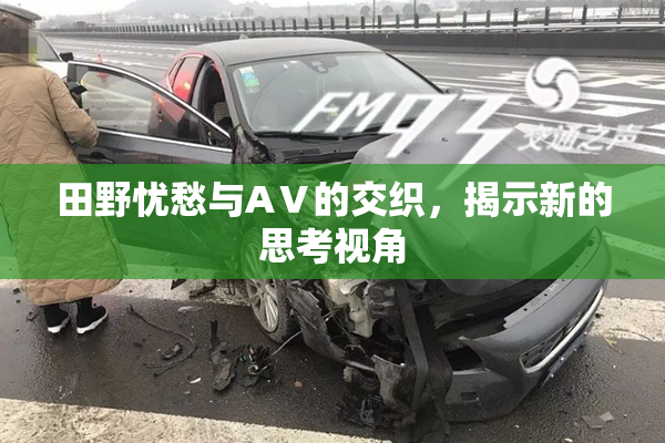 田野忧愁与AⅤ的交织，揭示新的思考视角