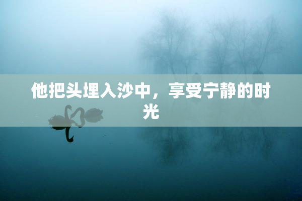 他把头埋入沙中，享受宁静的时光