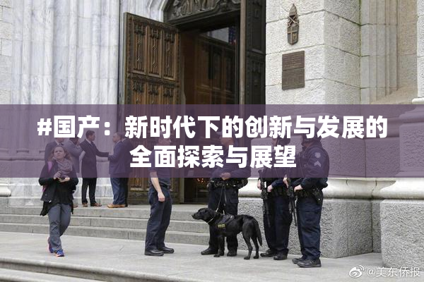 #国产：新时代下的创新与发展的全面探索与展望