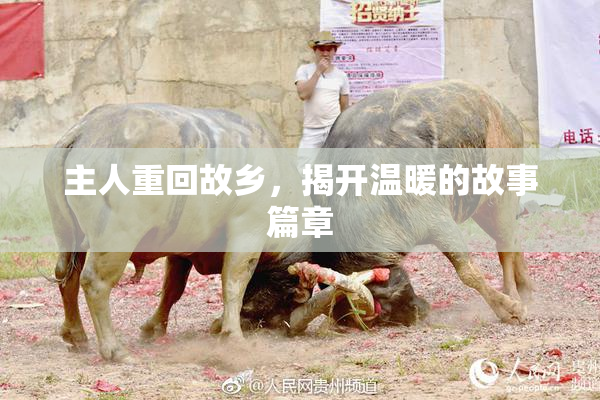 主人重回故乡，揭开温暖的故事篇章