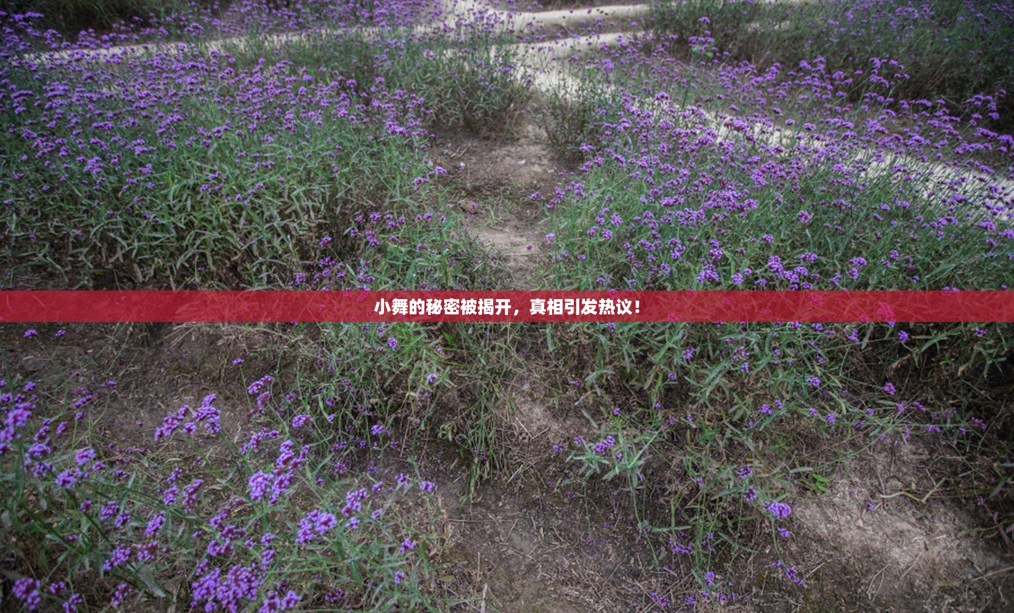 小舞的秘密被揭开，真相引发热议！