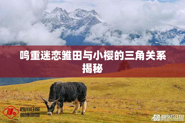 鸣重迷恋雏田与小樱的三角关系揭秘