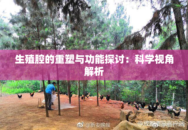 生殖腔的重塑与功能探讨：科学视角解析