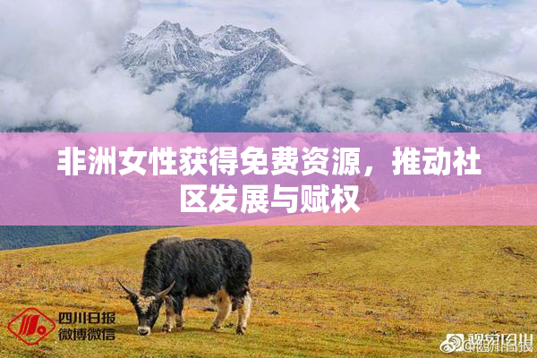 非洲女性获得免费资源，推动社区发展与赋权