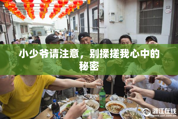 小少爷请注意，别揉搓我心中的秘密