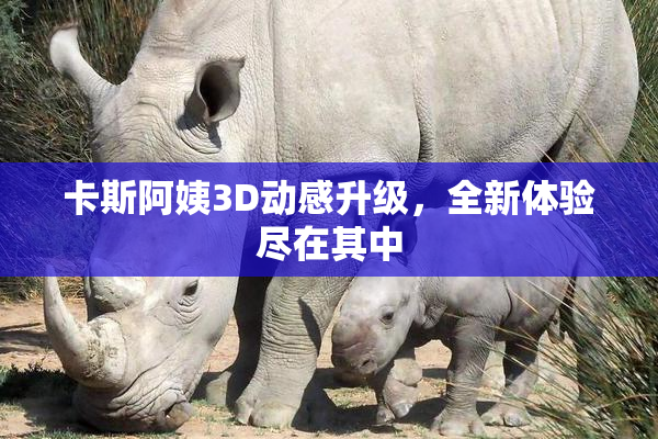 卡斯阿姨3D动感升级，全新体验尽在其中