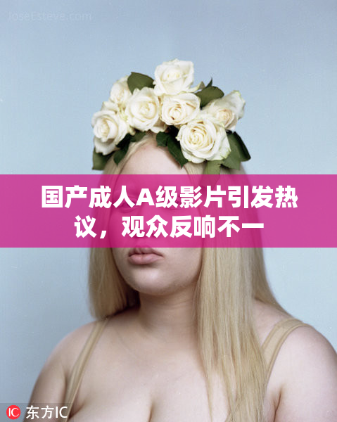 国产成人A级影片引发热议，观众反响不一