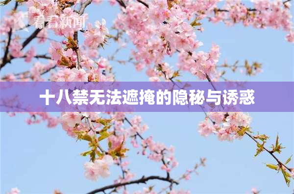 十八禁无法遮掩的隐秘与诱惑