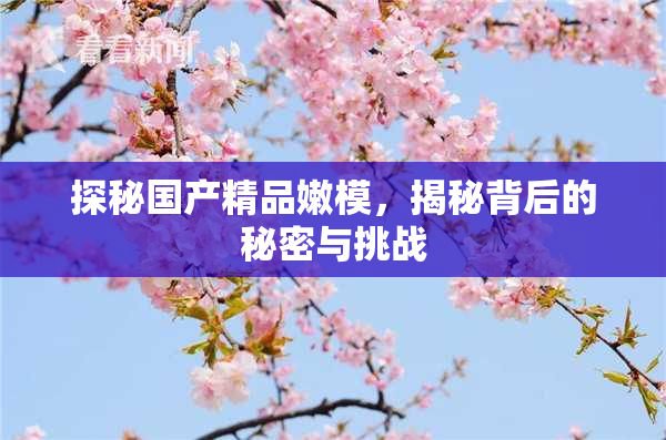 探秘国产精品嫩模，揭秘背后的秘密与挑战
