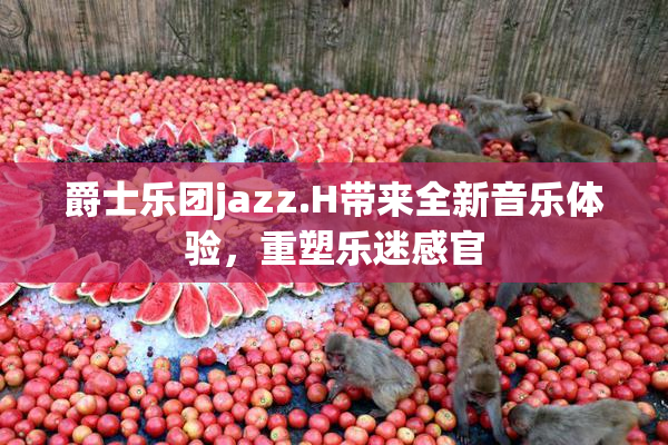 爵士乐团jazz.H带来全新音乐体验，重塑乐迷感官