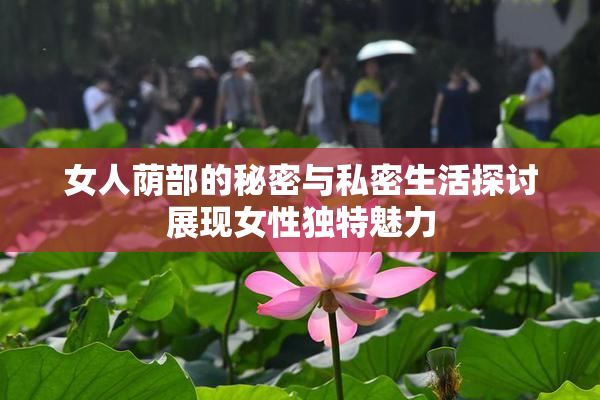女人荫部的秘密与私密生活探讨展现女性独特魅力