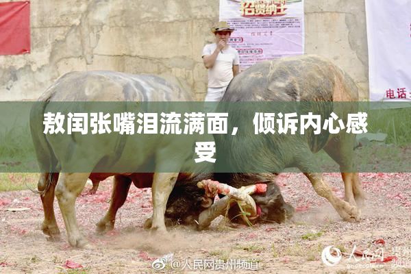 敖闰张嘴泪流满面，倾诉内心感受