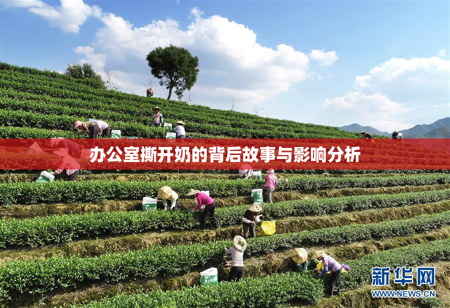 办公室撕开奶的背后故事与影响分析