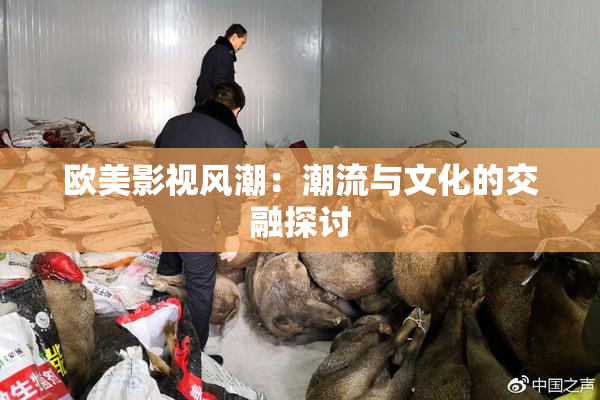 欧美影视风潮：潮流与文化的交融探讨