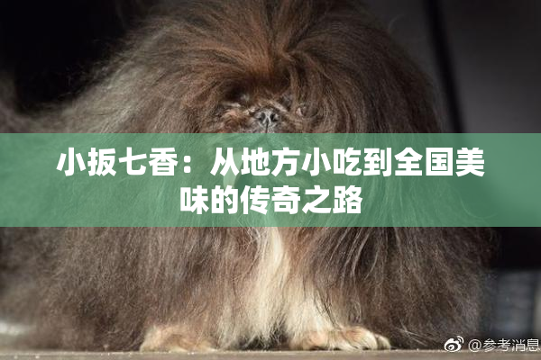 小扳七香：从地方小吃到全国美味的传奇之路