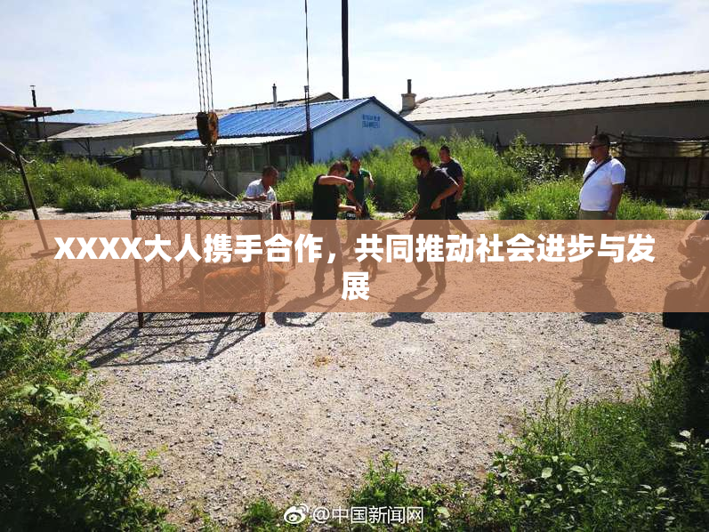 XXXX大人携手合作，共同推动社会进步与发展