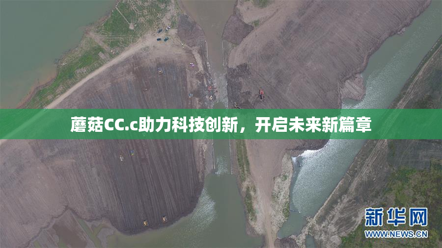 蘑菇CC.c助力科技创新，开启未来新篇章