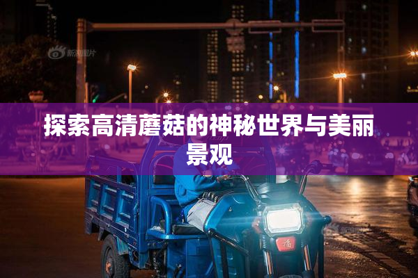 探索高清蘑菇的神秘世界与美丽景观