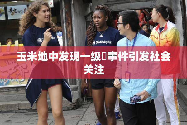 玉米地中发现一级婬事件引发社会关注